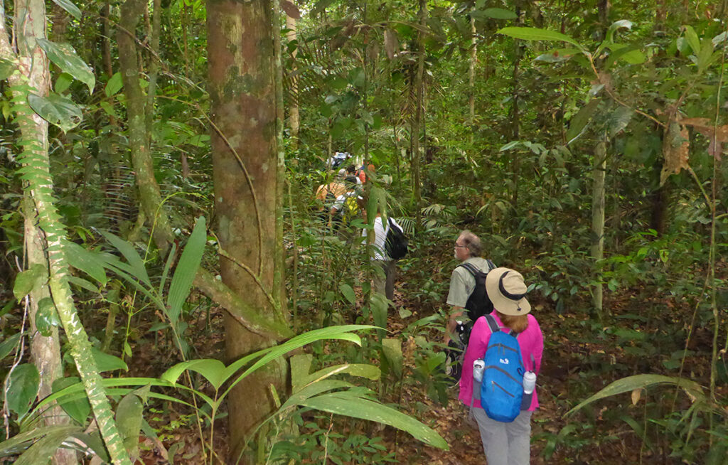 Amazonia Bliss Expedition Amazonia Expeditions