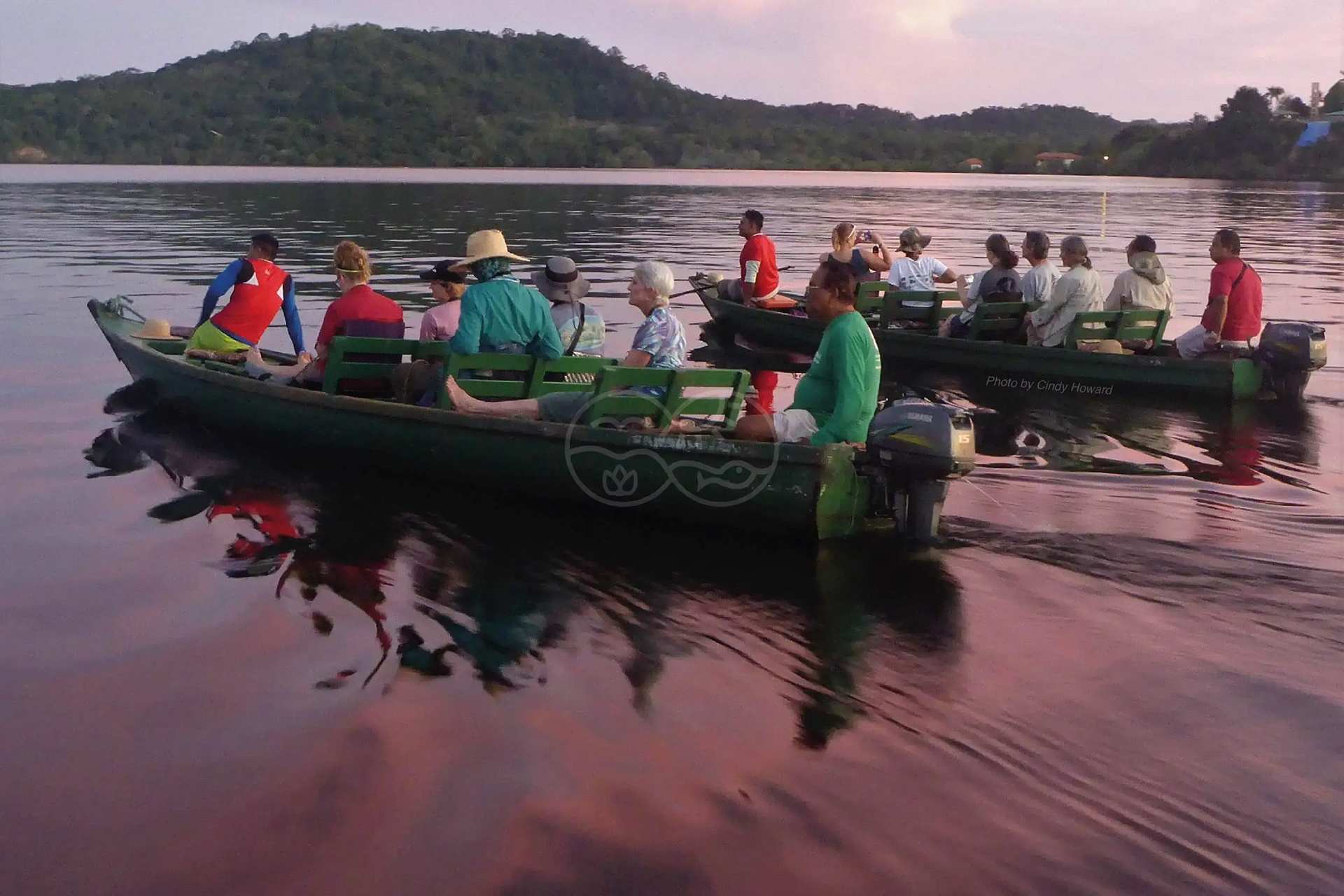 home amazonia expeditios brazil no amazonas