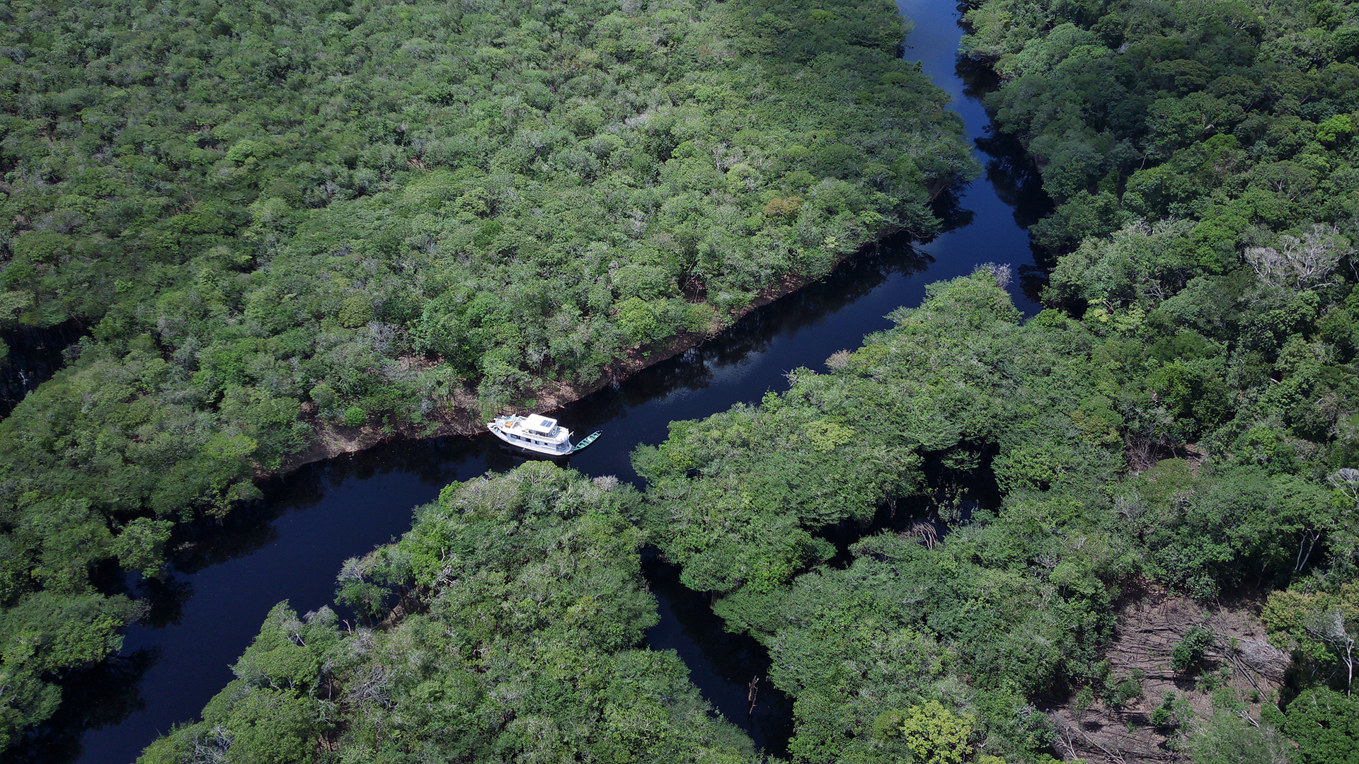 foto do barco no rio negro durante a cheia na amazônia 
